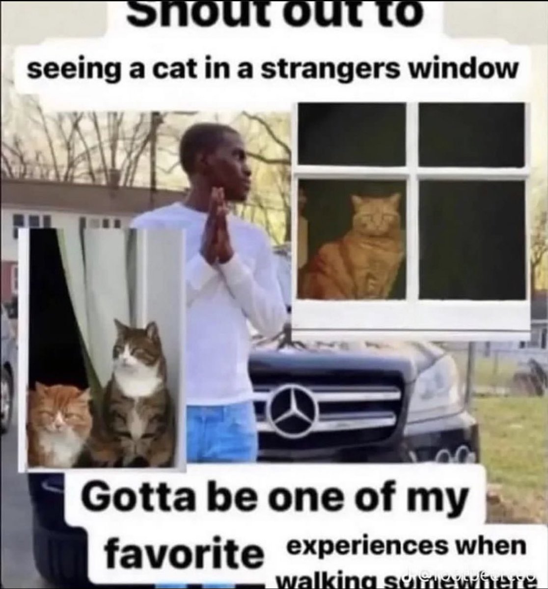 The Notorious J.O.V. (@whotfisjovana) on Twitter photo 