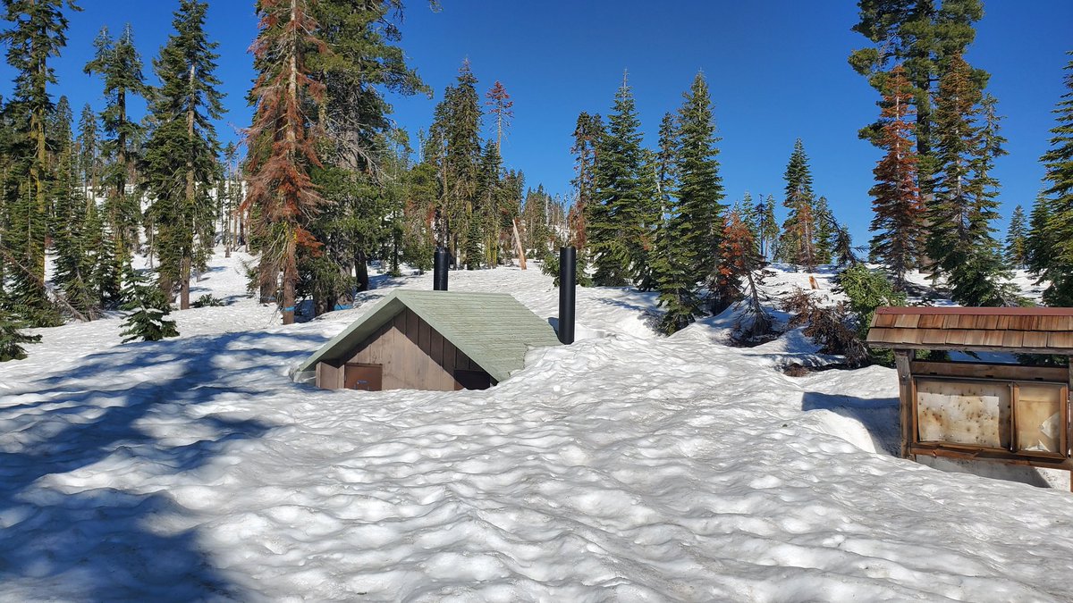 Craig Thornley tweet media