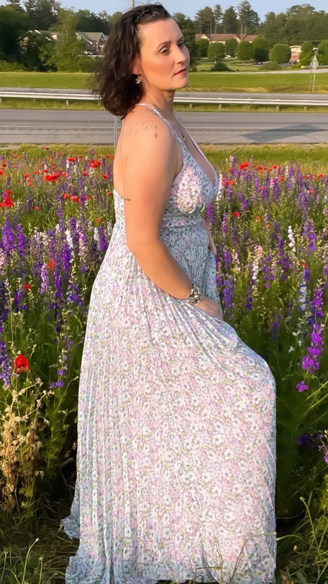 Melody Jai on Twitter: "Road side flowers in North Carolina 🌺 So