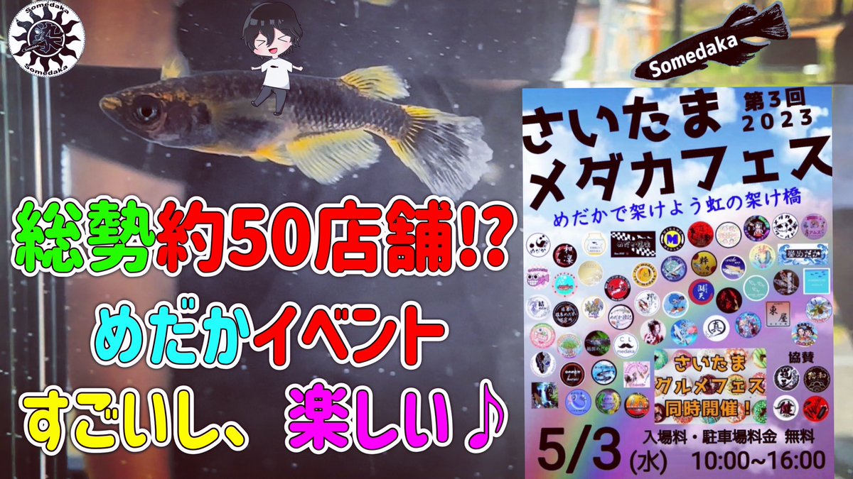 今更ながら、さいたまメダカフェスの動画UPしました🤗

店舗数もそうですが、とても楽しく参加させて頂きました🙇🏻‍♂️

イベントならではの雰囲気、普段ならお見かけできないメダカ、人に出会い最高の時間でした👍

是非みてねー☻︎👀

youtu.be/rZYbkc7XZ6U

#チャンネル登録お願いします