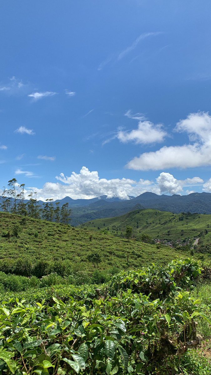 Awannya cerah banget tapi ga secerah hatiku 😂