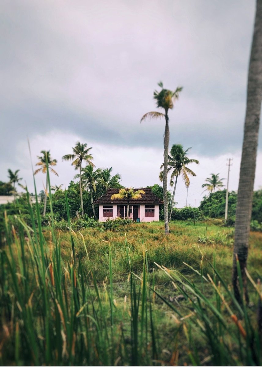 ShebinSam13's tweet image. Gm
#photography #photooftheday #photooftheday #blackandwhitephotography