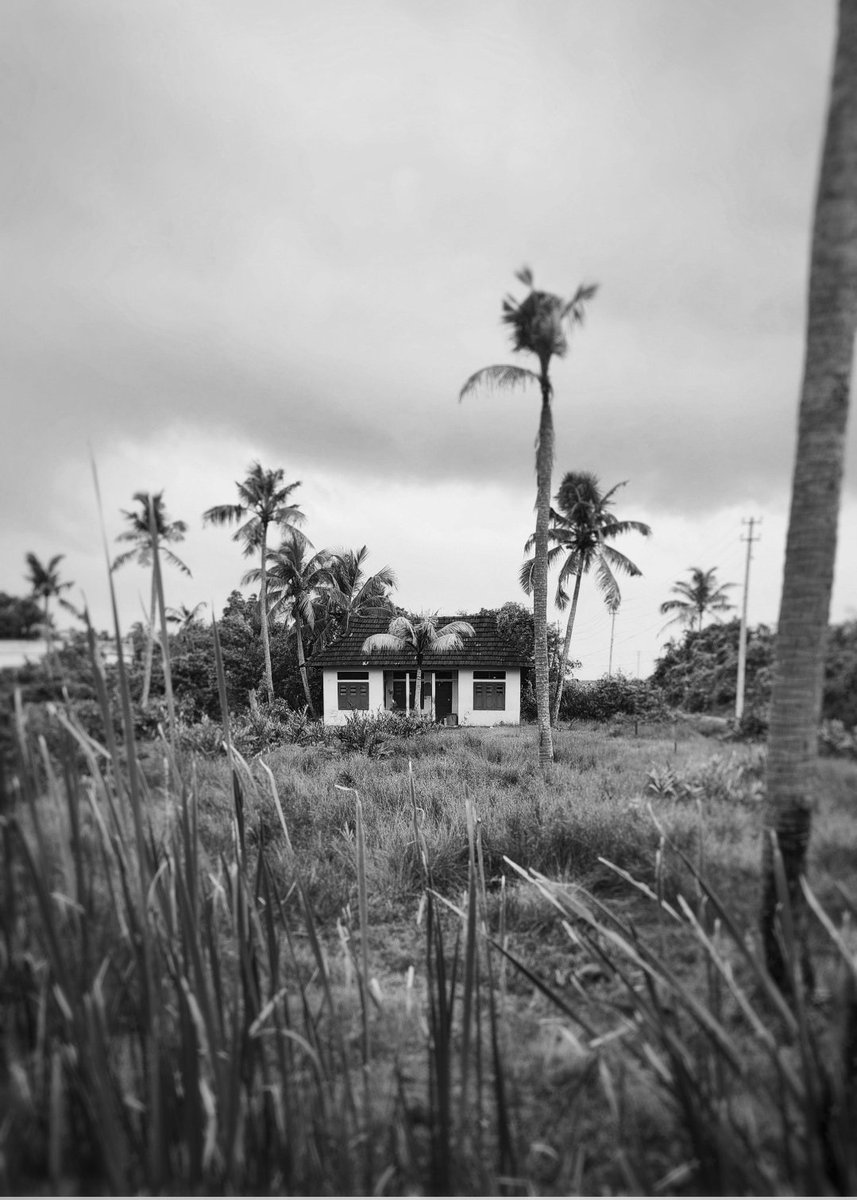 ShebinSam13's tweet image. Gm
#photography #photooftheday #photooftheday #blackandwhitephotography