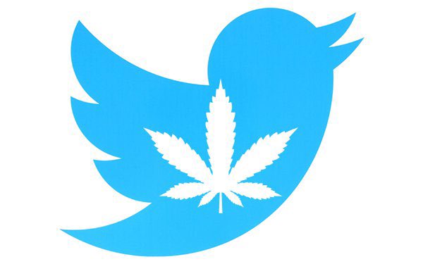 iFlyHigh™ 🎄 tweet media