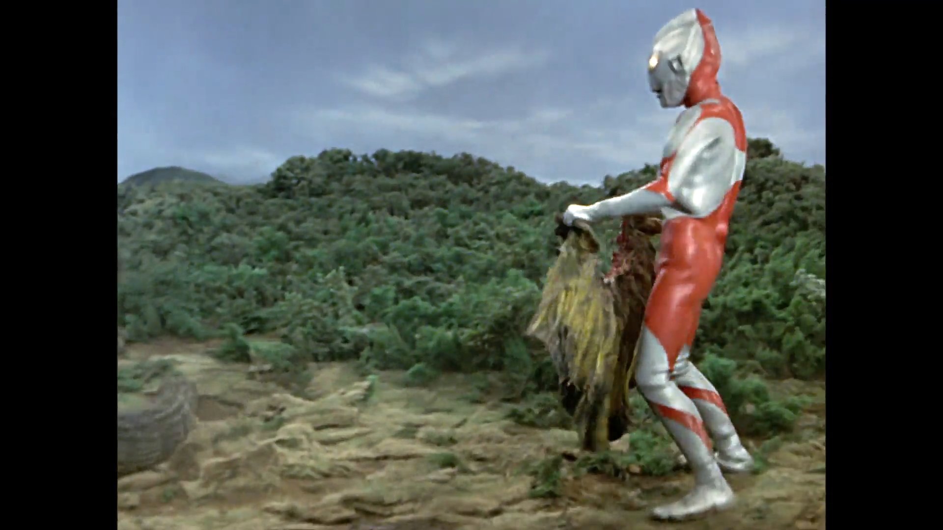 SuperSandwichGoku | Oguri Cap brainrot on X: 