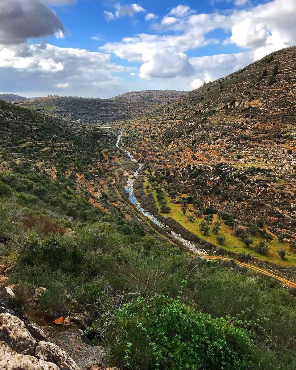 Timesofgaza's tweet photo. Good morning from Palestine. https://t.co/zcTfPwcu7w