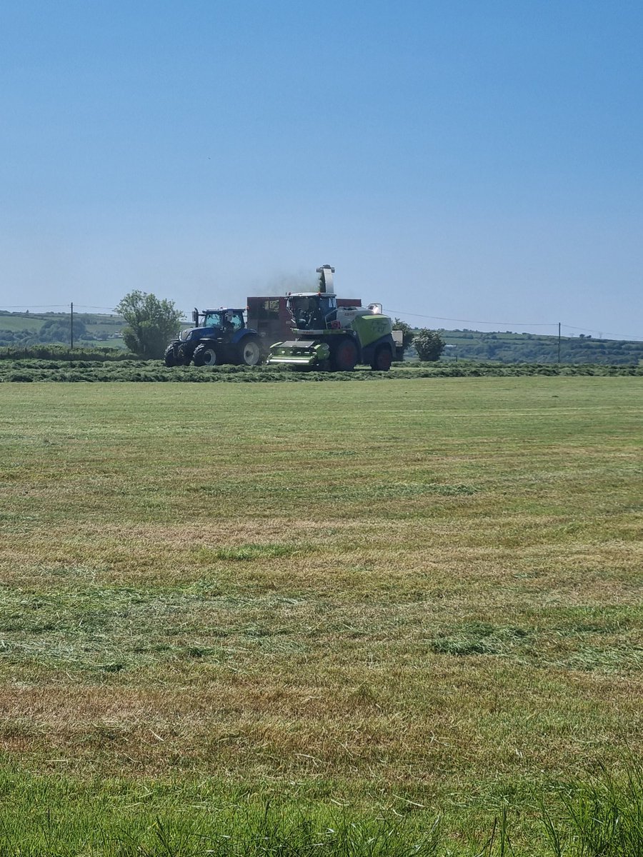 johncrimes's tweet image. Busy days, to feed this over the winter. #silage23, #stabiliser, @StabiliserBeef
