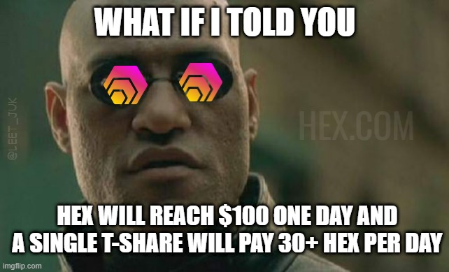 You think I'm crazy now, but trust me bro! #HEX $HEX #HEXicans #Crypto
