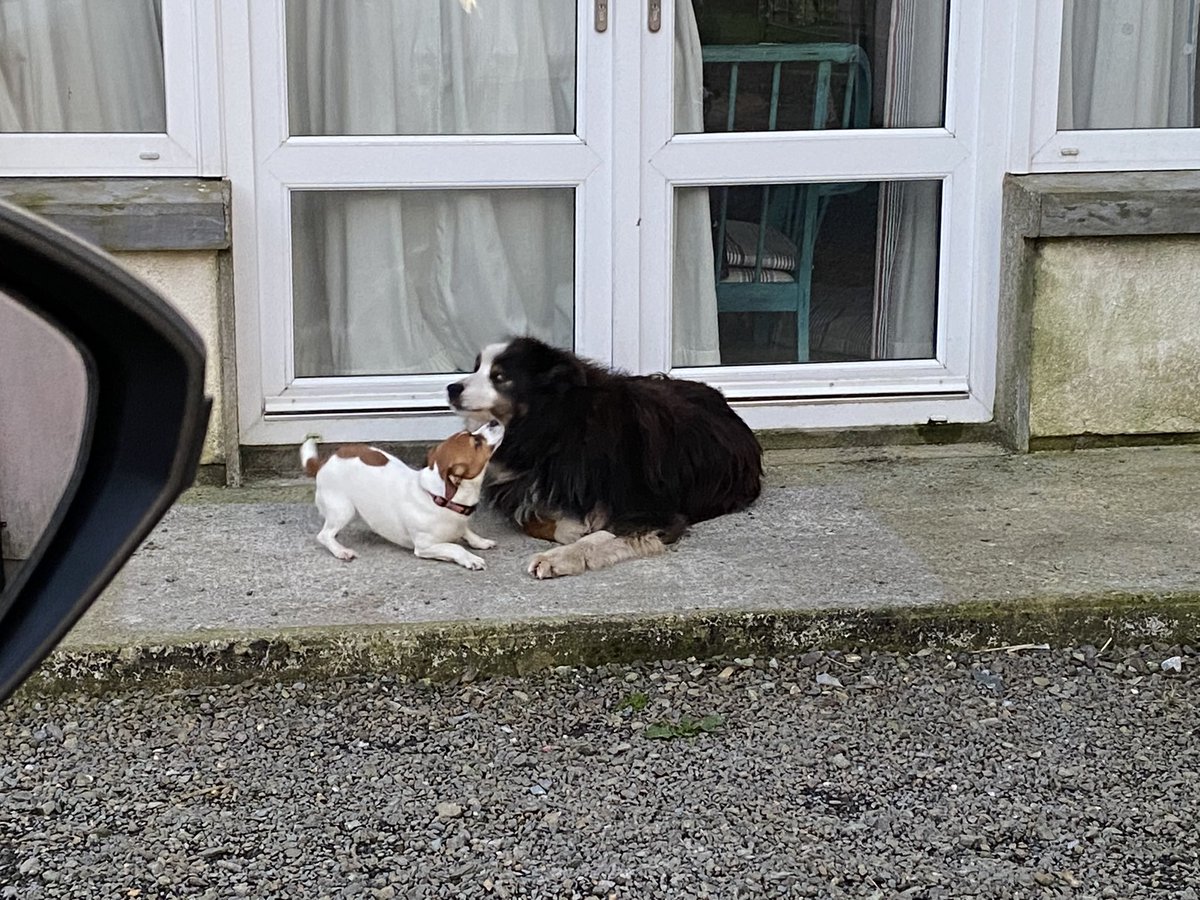 fimalone1 tweet media