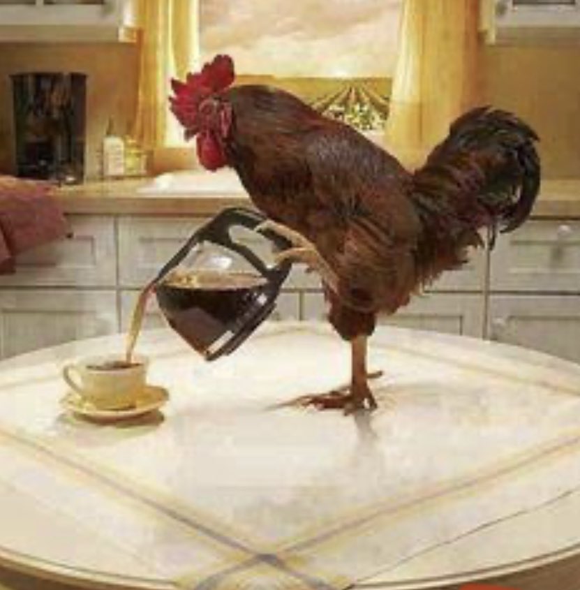 MauricioGarxia's tweet photo. @AndyGzz97 Cafe? https://t.co/Fed42vvPRt