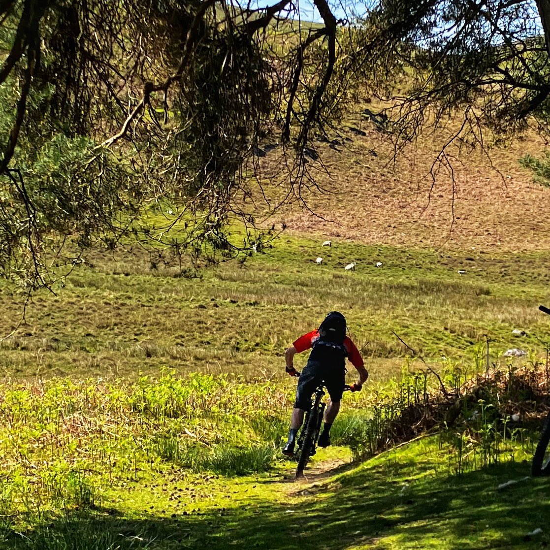 MTBleading's tweet photo. Wall to wall sunshine on the #transcambrian. A fantastic group even maintained their sense of humour at the 5th puncture! @mtbcymru #mtbleadership #lovetheoutdoors #springsunshine https://t.co/SFffgj1gFA
