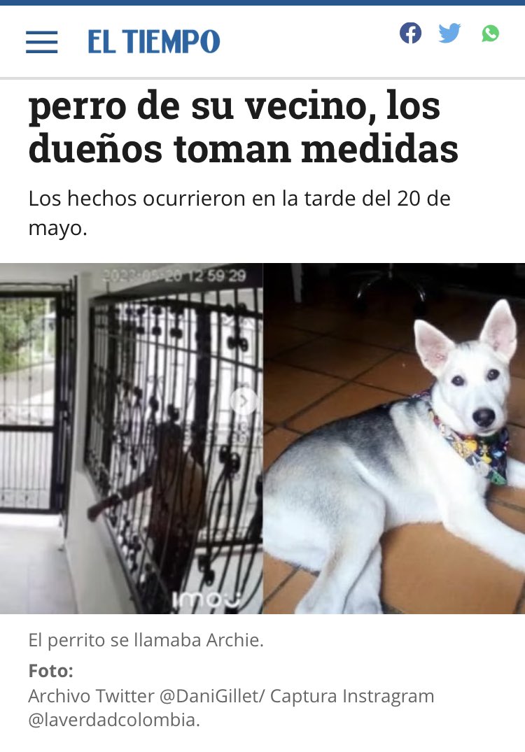 SilvAlbaM's tweet photo. Esta porquería, porque no puedo llamarle señor, debe pagar con cárcel y multa. No traerá a Archie de vuelta, pero dará un descanso a sus dueños y a Archie. #JusticiaParaArchie #Archie #Justicia @FiscaliaCol https://t.co/F5lZyuoQps