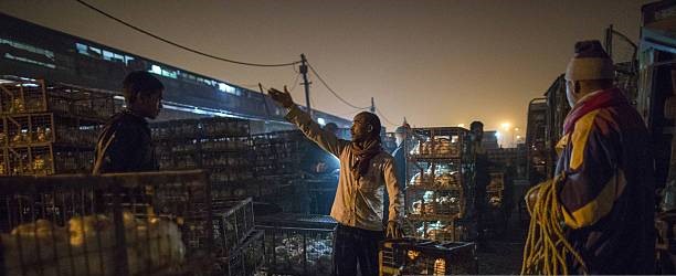 Chicken Journal Club tweet media