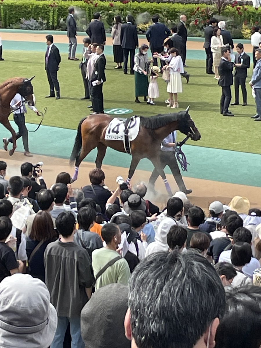 deka4649na's tweet photo. ようやく空いてきた😄 https://t.co/EAhr1KhH4Y