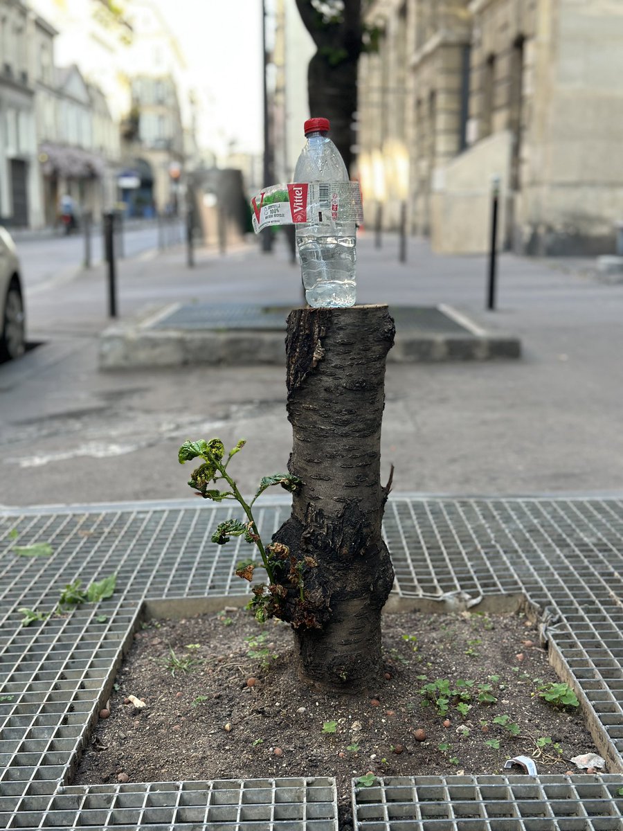 « Embellir Paradis »
#paris10