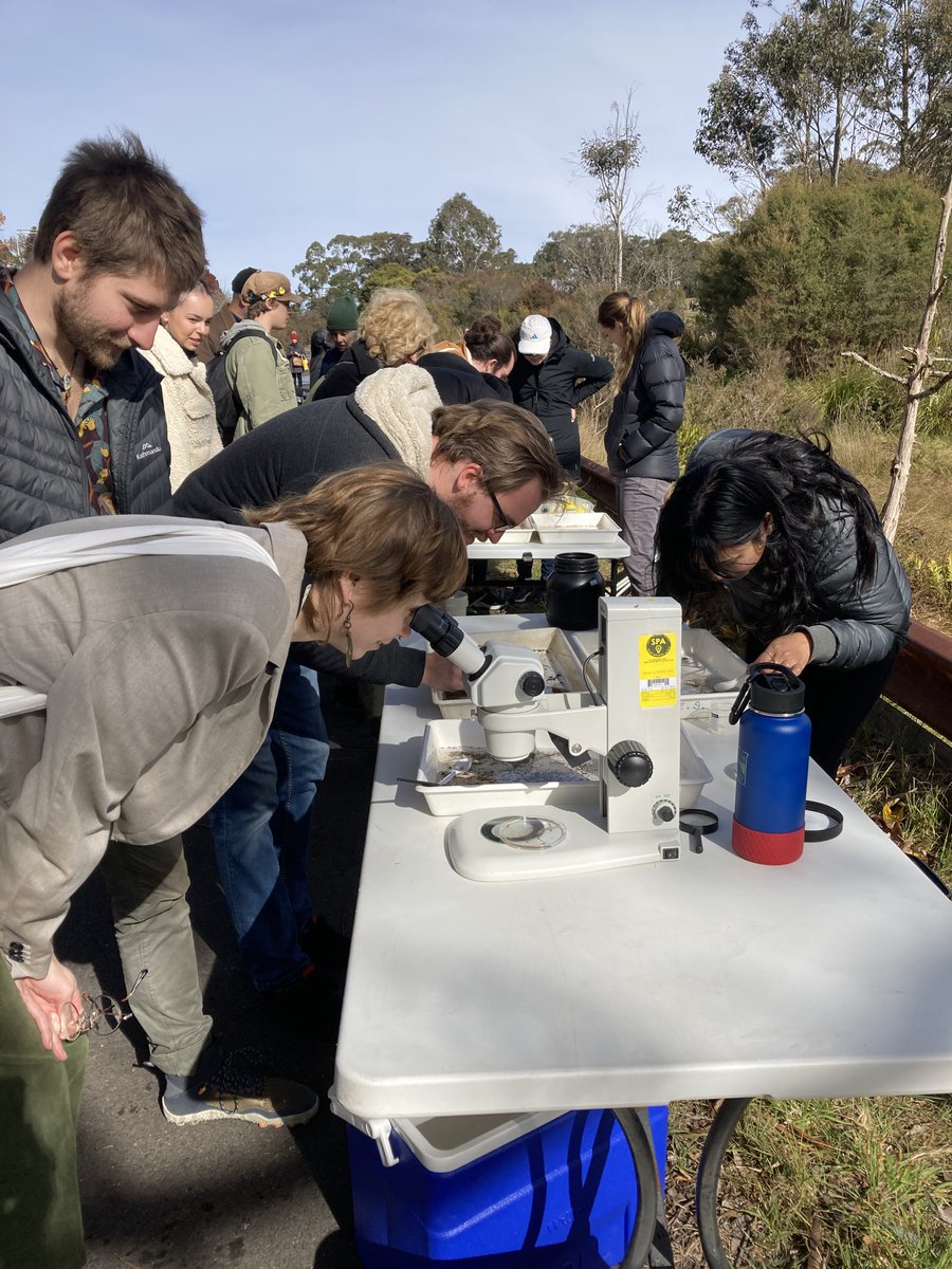 Today at 'The Gully' (Katoomba). ABC Sydney Simon Marnie broadcast live. A hundred people visited, making art, looking at creek life, hearing about the cultural history, rehabilitation of the swamp and local area from Gundungurra man David King.   
abc.net.au/sydney/program…