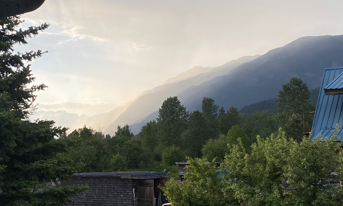 🌲Been out in the woods. Flipping mosquitoes are out, hope everyone has a safe long weekend. Happy Memorial Day! 🇺🇸🚲 I have been befriending a murder of crows to keep my #Staccs safe. 🐦‍⬛🌵
