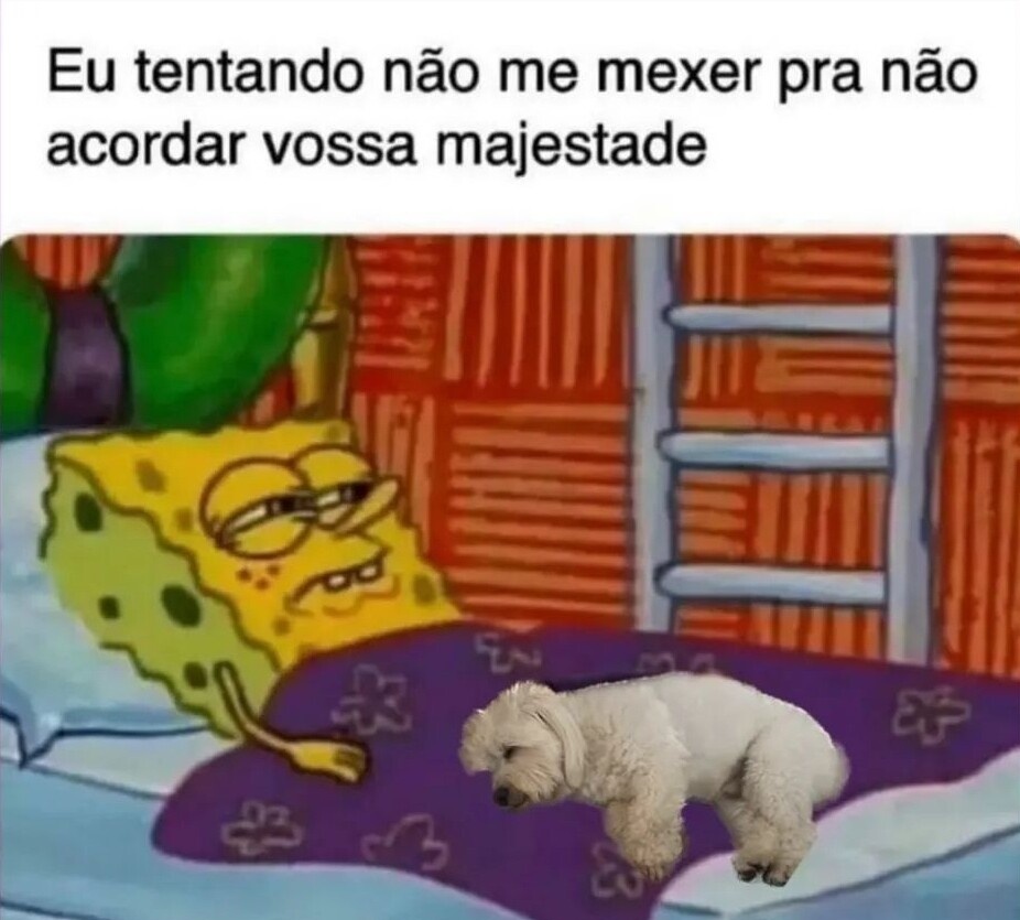 Shitpost só que de verdade (@shitpostverdade) on Twitter photo 