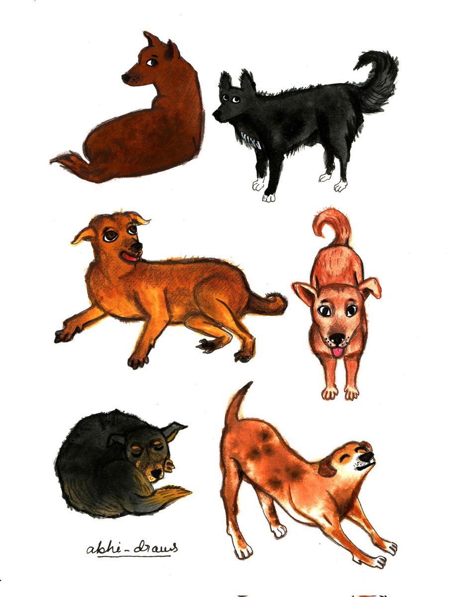Some doggos. Inspired by Indian native breeds ❤️☺️
.
.
.
.
#doggos #DogsOnTwitter #artistsontwitter #VisibleWomen #diversity #bipocartists #bipoc #illustratorsofinstagram #illustrationart #humanart #illustrator #illustration #kidlitillustrator #kidlitartist #kidlitart