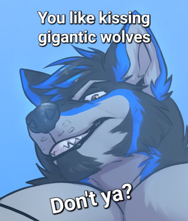 Vector Woof tweet media