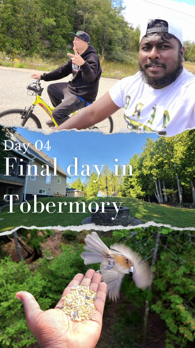 youtu.be/oR4BeZ99Xdk
New video here.....
' Final day in Tobermory - Day 04 '

#Travel #hiking #adventure #AdventureTime #travelling #traveling #travelbloggers #manitoulinisland #Ontario #nature #naturelovers #vlogger #vlog #YouTube #explorer