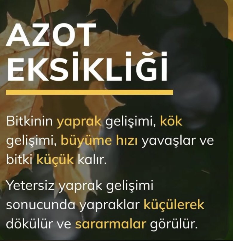 Harun2407's tweet image. #Azot Bitki Beslemede Eksik Olmasın . Sorun Varsa ; Çözüm : @makrotarim #makrotarim #BitkiBeslemeUzmanı #Azodoor #RapidN32 #ToppingGreen
