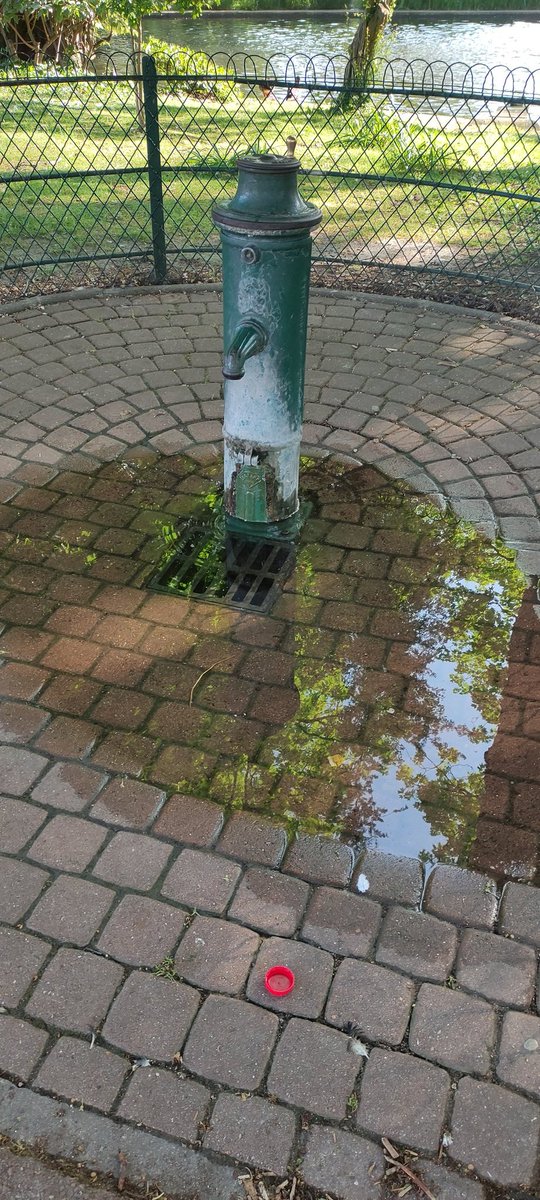 Isatis2809 tweet media