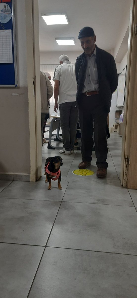 Sandıklara sahip çıkıyoruz hayvan hakları için:)