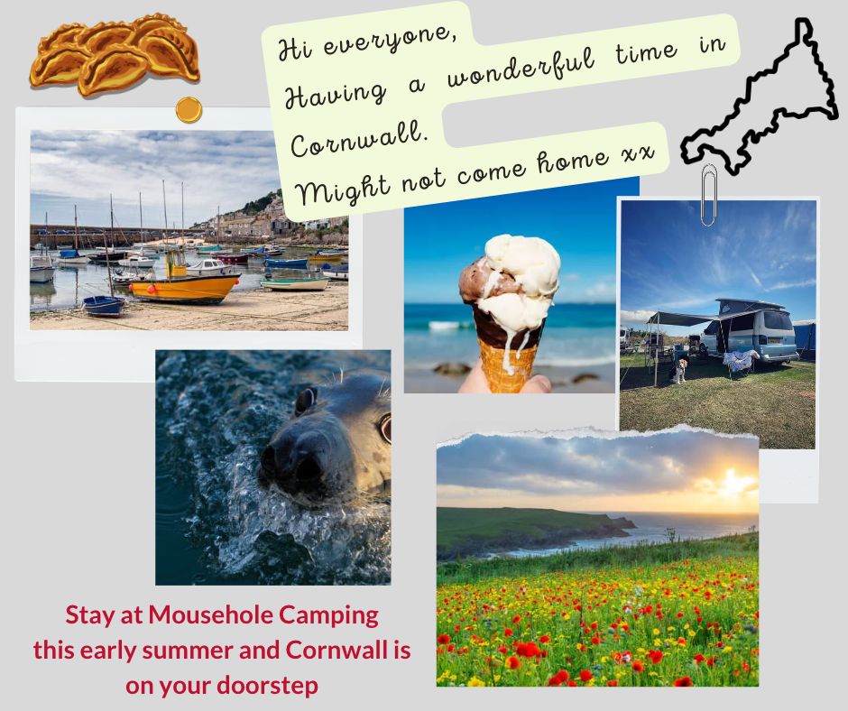 Visit Cornwall this year - it could change your life!
mouseholecamping.co.uk