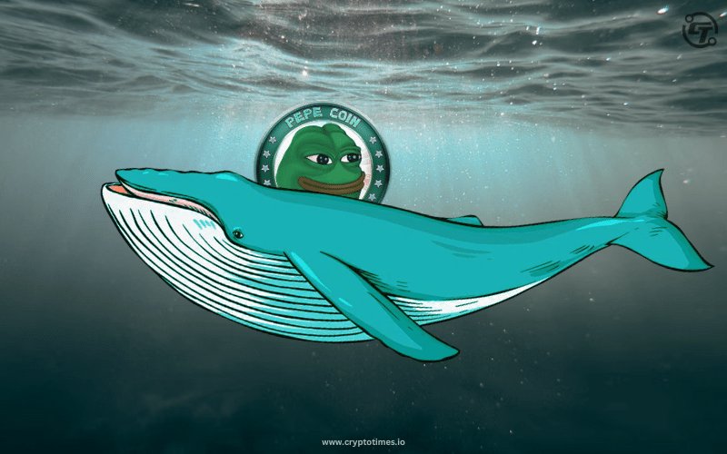 ARE YOU A #PEPE WHALE ? 🐸🐳