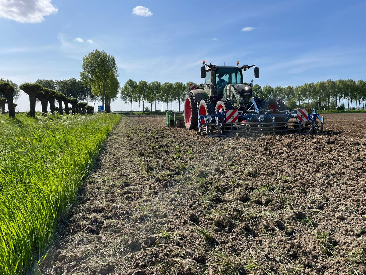 Novifarm tweet media