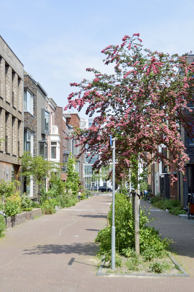 A designer’s toolbox for living streets:

🚗 Modal filters
🌸 Facade gardens
🪑 Ample seating
🐢 Speed tables
⤴️ Chicanes/bulbouts
🧱 Textured paving
👁️ Raised intersections
🌳 Shade trees
🚲 Bike parking
🪴 Planter boxes
💡 Human-scale lighting
👞 Low/no curbs
🛑 Limited signage