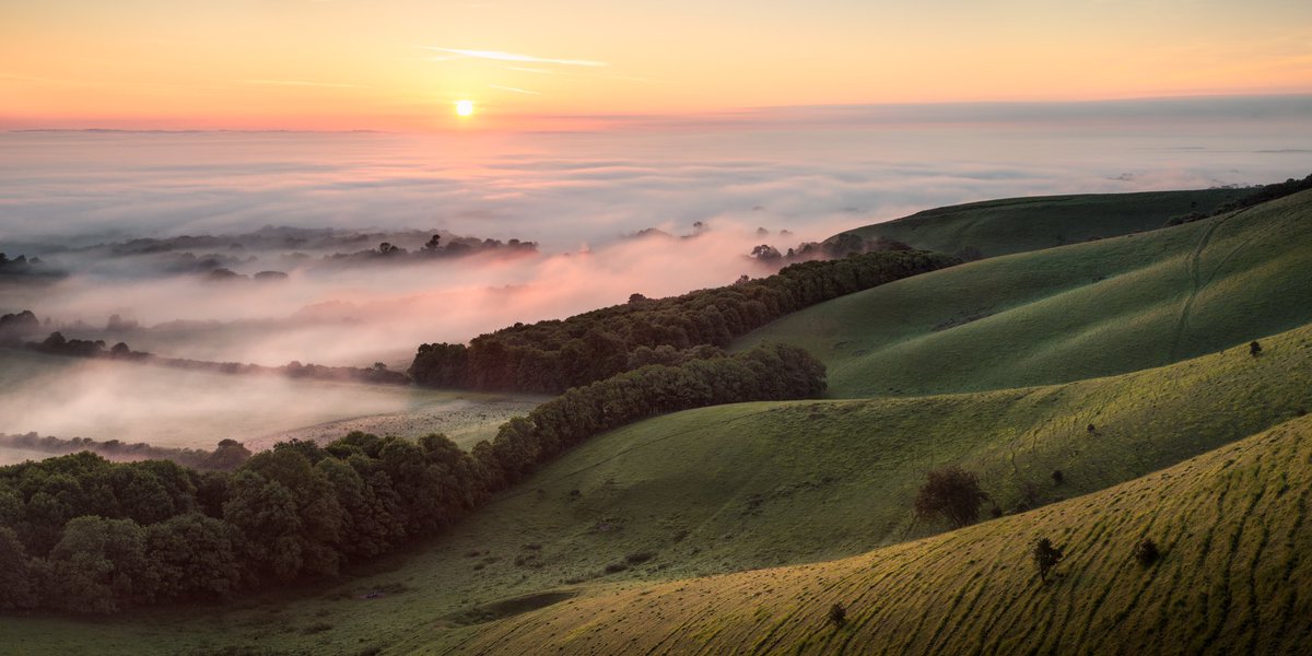 PhotoBrighton's tweet photo. Good morning Brighton. It’s going to be another beautiful day, get yourself to the hills… https://t.co/iiDrbI2kSX