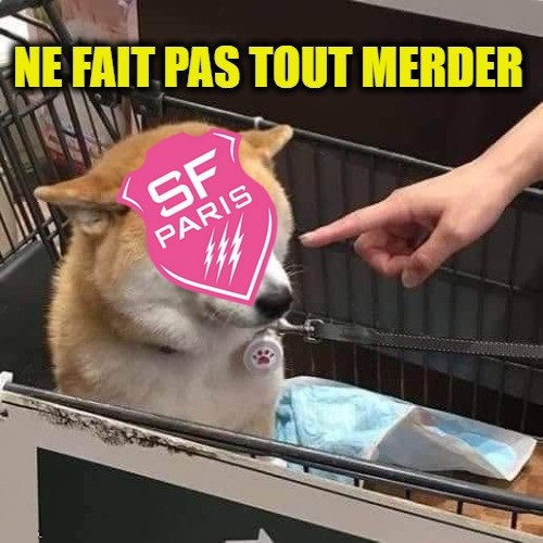 C'est trop demander ? Connaitre 8 ans après, au moins 2 semaines d'excitation... 

#SRSFP