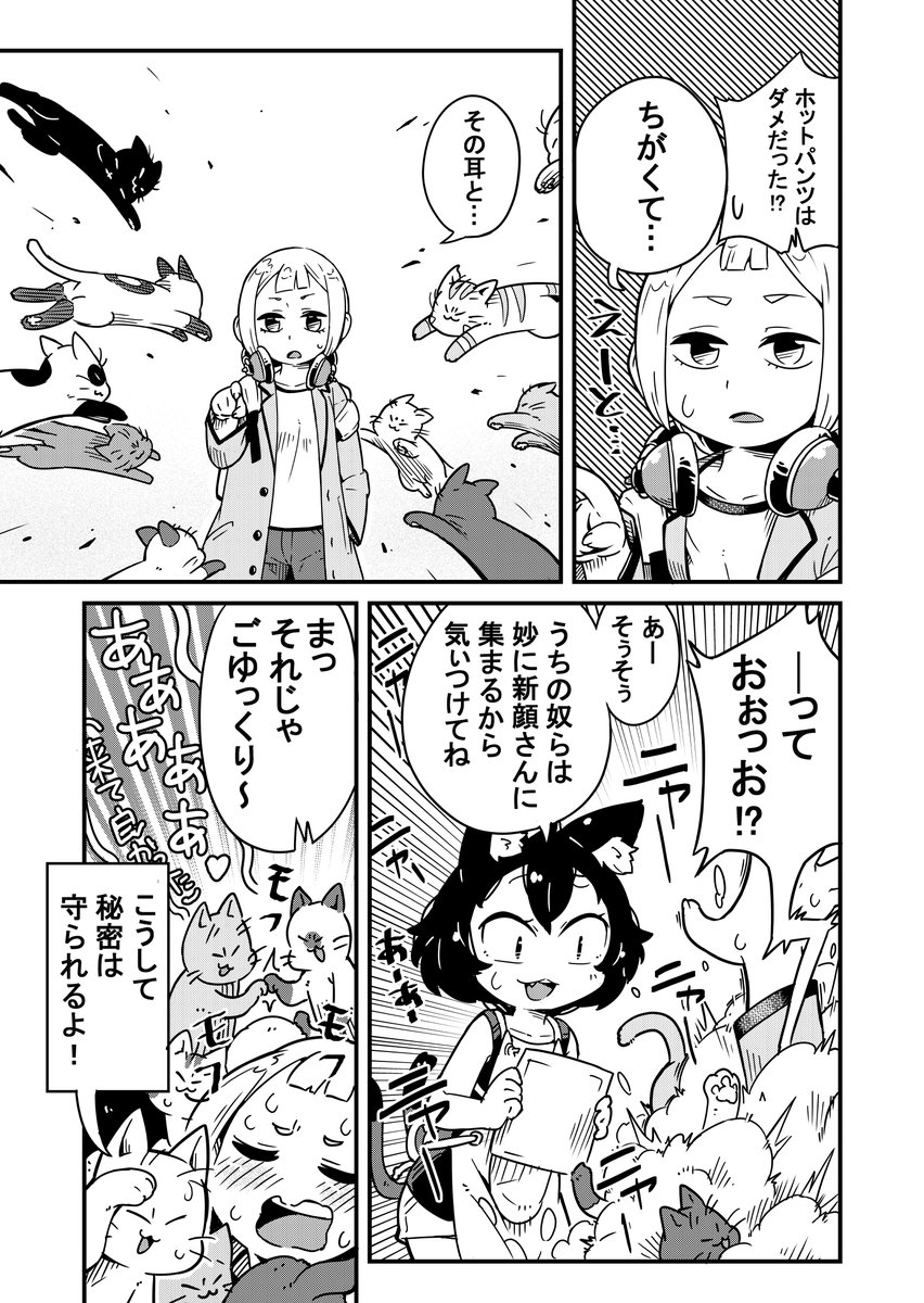 4匹目(再)
#ねこかふぇの 