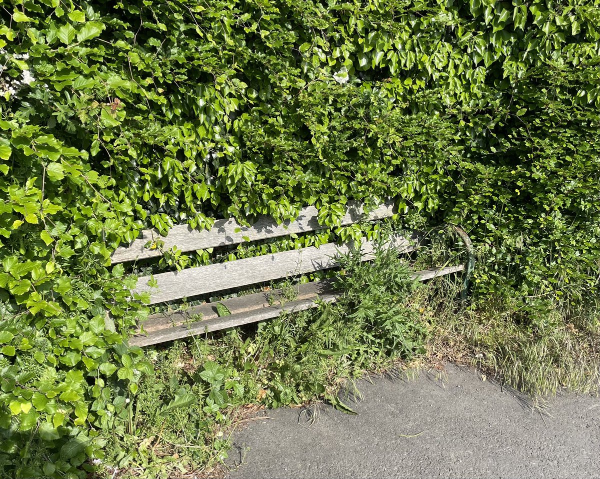 It look like the trees and bushes are reclaiming what is rightfully theirs. #Backtonature @FCCcountryside @tourism_fcc @FlintshireCC