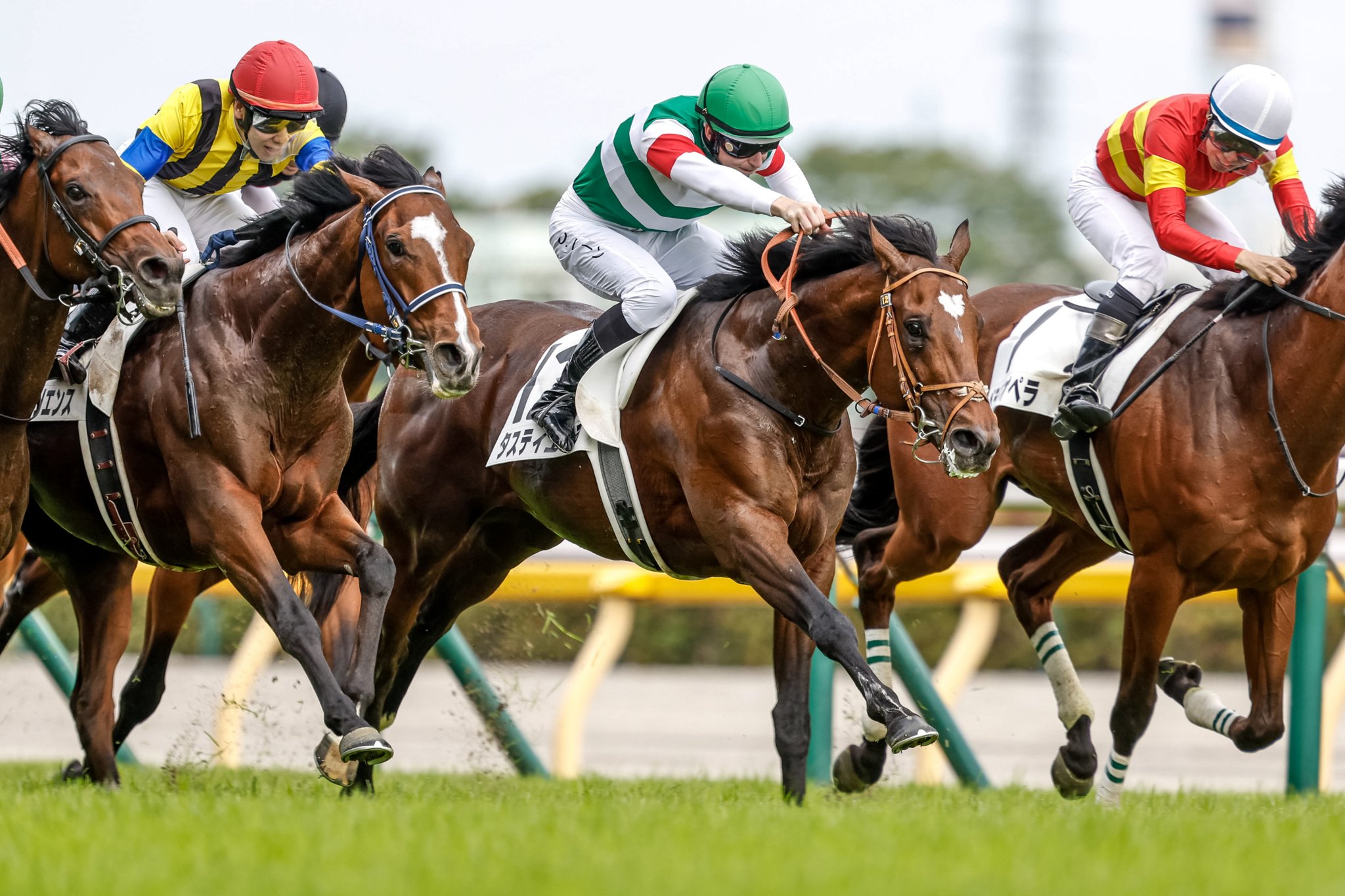②◆　競馬　JRA　◆　タスティエーラ　◆　日本ダービー　◆　２種類セット　◆ ②◇ 競馬 JRA ◇ タスティエーラ ◇ 日本ダービー ◇ 2種類