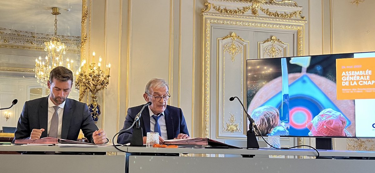 LeCnaemo's tweet photo. @LeCnaemo (membre fondateur de la Convention Nationale des Associations de Protection de l’Enfance) a participé à l’AG de @la_CNAPE en cette fin de semaine et a été élu au sein du collège des mouvements au CA. Puis par le CA au bureau. https://t.co/5jh6LRkRlD