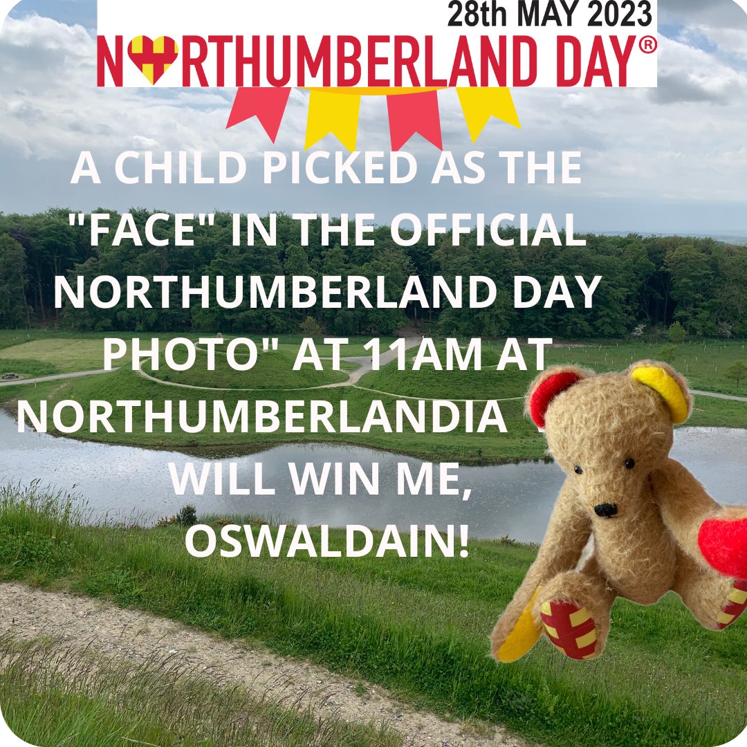 One of our loveable mascot crew, Oswaldain, younger brother to Northumbear, will go to the child whose face is picked out from the official #NorthumberlandDay photo at 11am, Northumberlandia.  BE THERE, to try to win this adorable BEAR wanting a good home.  Very special prize