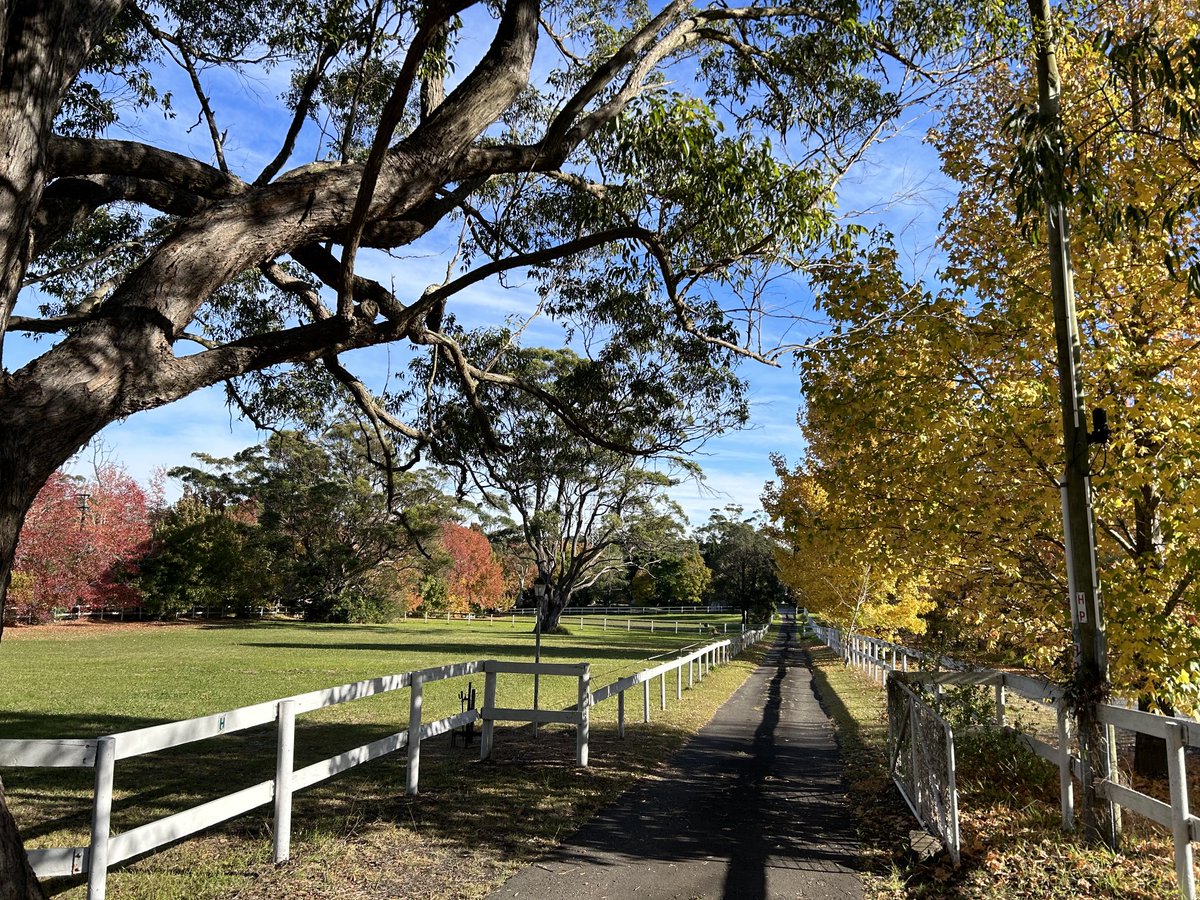 Michal Bodi tweet media