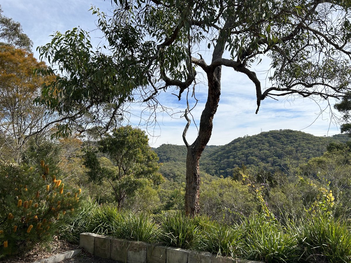 Michal Bodi tweet media