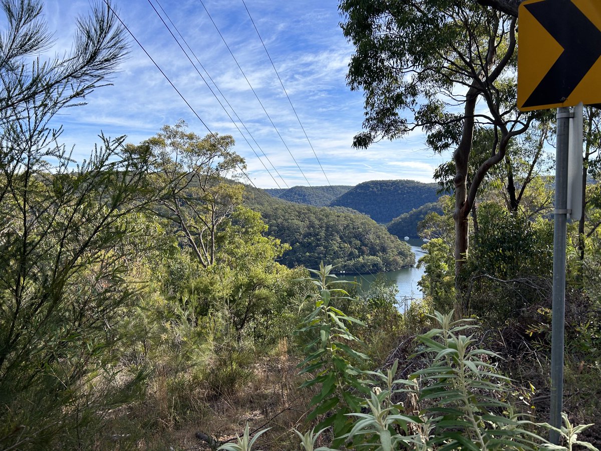 Michal Bodi tweet media