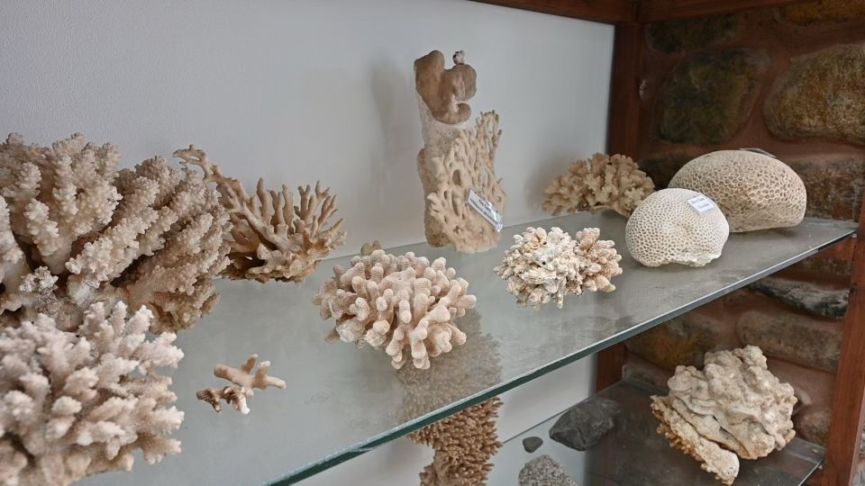 UNDPEgypt's tweet image. Mangroves captivate the eye, combat rising sea levels &amp;amp; reduce CO2 emissions.🌊🌍

Our Mangrove center in Nabq w @EGY_Environment &amp;amp; @EUinEgypt will host scientists, conducting vital research on mangrove rehabilitation.🔬

Preserving &amp;amp; protecting these ecosystems is 🔑 4 #SustDev.