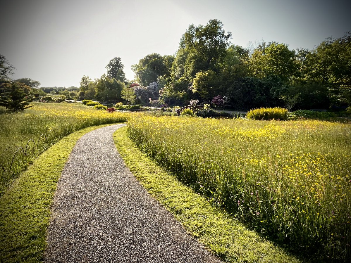 Matthew Pottage tweet media