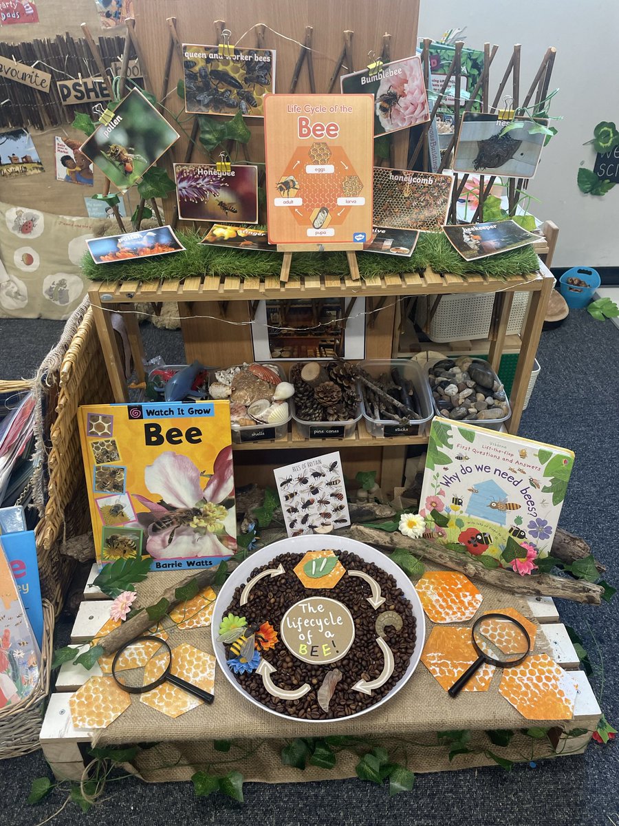 My class have been obsessed with bees. We set up a little investigation station for them to find out all about their life cycle 🤍🐝

#SaveTheBees #edutwitter #teachersoftwitter #investigationstation #continuousprovision #year1teacher