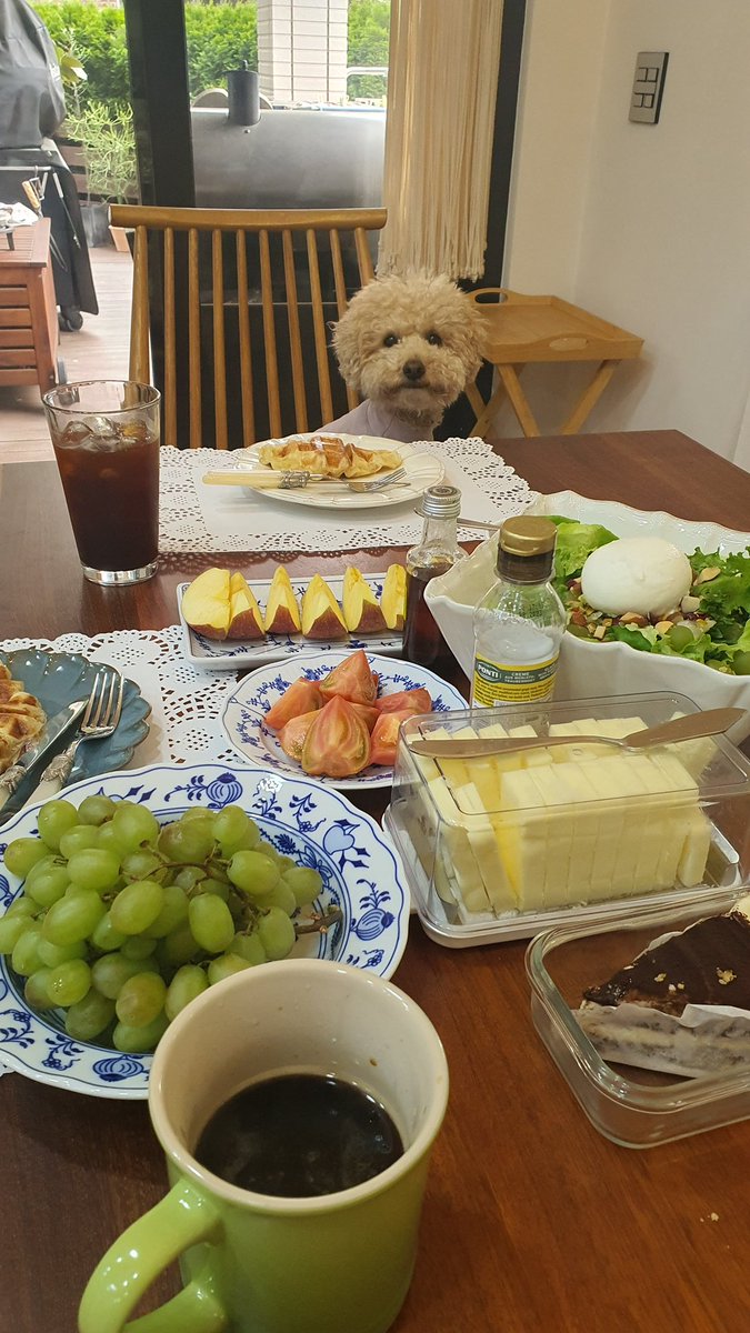 Four_Poodles's tweet photo. 그래서..?
언제 줄건대?
#데일리하찮미 https://t.co/iUGdb0ooNF