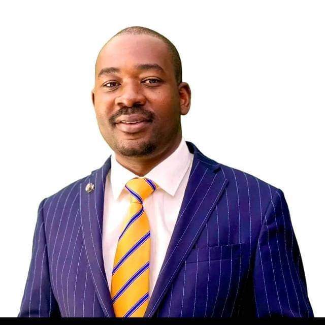 NdawanaI's tweet photo. Let's rally behind Chamisa and go in your thousands to check your name in the voters'roll at your polling station.
1. #OneAgenda.
2. #OneGoal.
3. #OneVoice.
4. #OneObjective.
5. #ANewGreatZimbabwe
6. #CCCGvtUnderChamisa.
7.#NHM. https://t.co/ieeCoVkP2b
