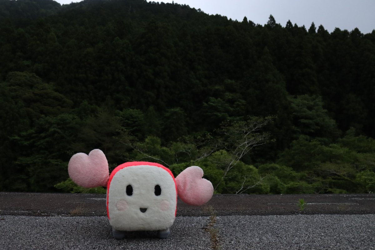 _toeshin's tweet image. #Remember2000
#ワープ四国
#旅するこうちれっちゃくん