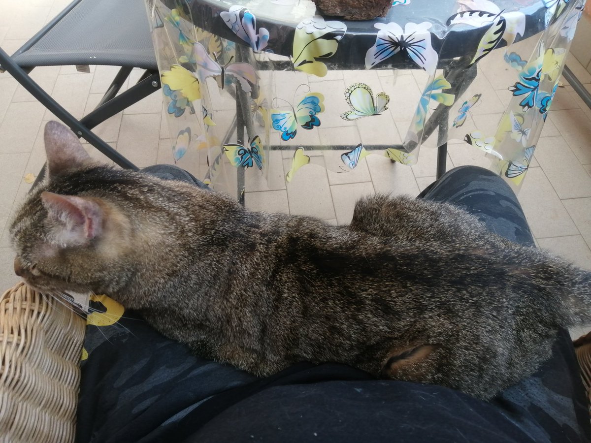 I miei momenti di relax