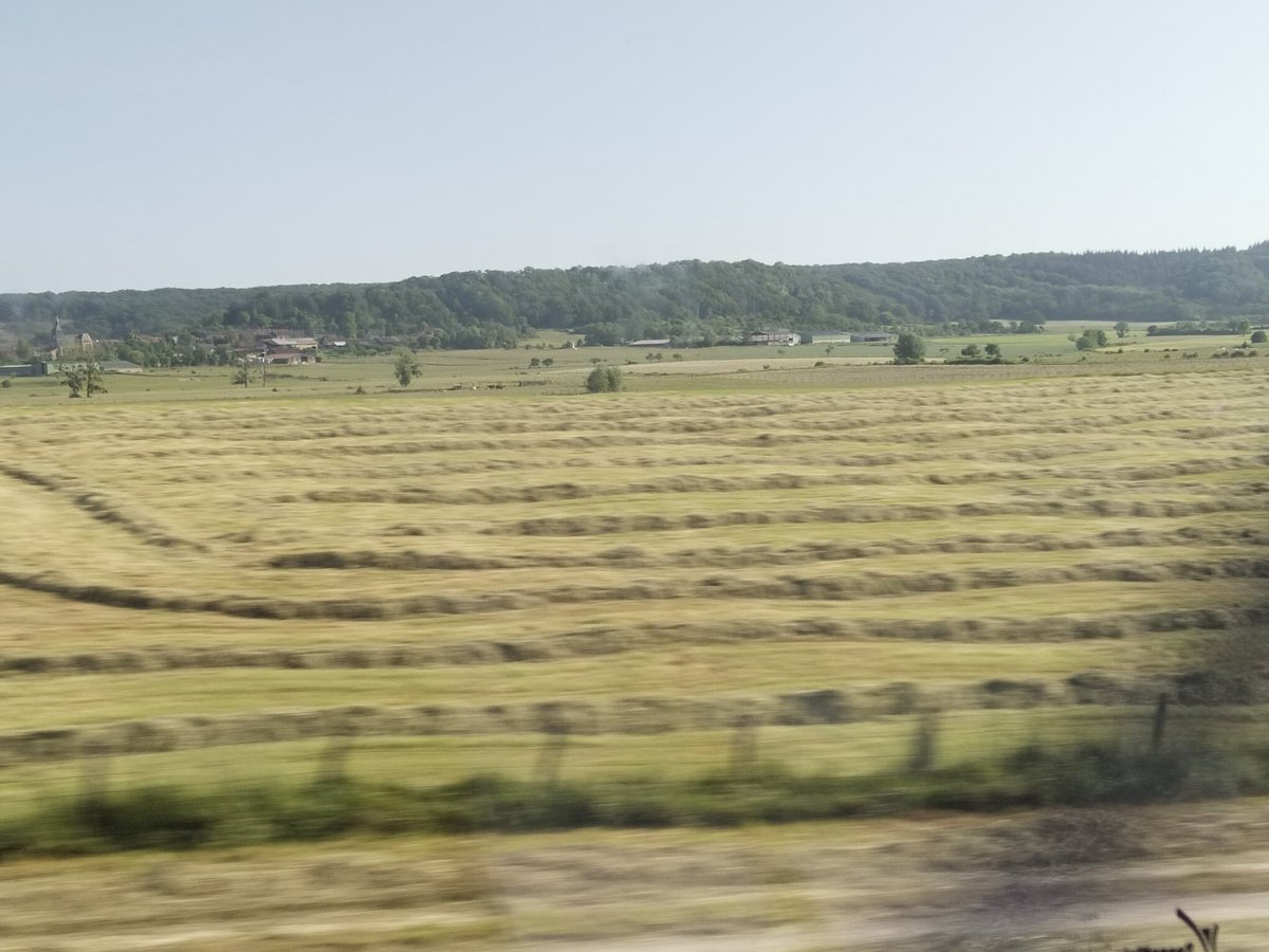 PHCC_Mick's tweet photo. So, I'm in France 🇨🇵 on a fast train to Strasburg!
All around are #cereal crops, #pastures, farmers cutting hay, tending livestock & ploughing fields 🚜
Lots of evidence of Precision Ag in their paddocks 👍🏼
@AusLandcare @DAFFgov #landcare #abroad #GreeningFarms #RALFlife https://t.co/YjG27Ztd3Q